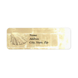 Scallop Seashell auf Sand