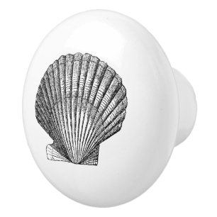 Scallop Seashell Muschel nautische See inspirierte Keramikknauf