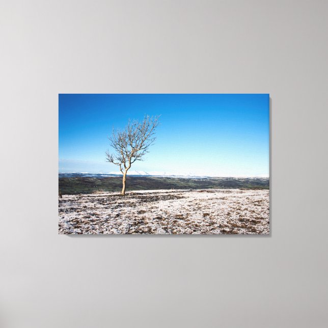 Scanner Holiday Card Leinwanddruck (Vorderseite)