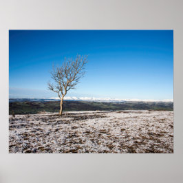 Scanner Holiday Card Poster