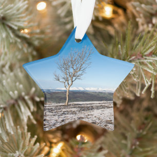 Scanner Holiday Card Poster Foto Blockschnee Gl Ornament