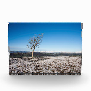 Scanner Holiday Card Poster Fotoblock