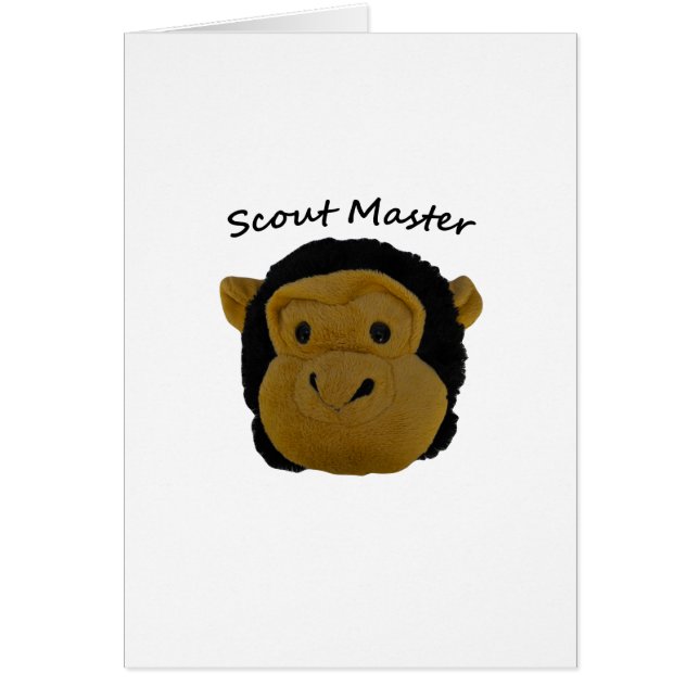 Scanner-Master (Vorne)