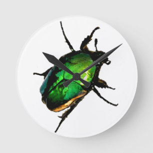 Scarab Beetle Runde Wanduhr