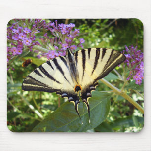 Scarce Frack Butterfly Mouse Mat Mousepad