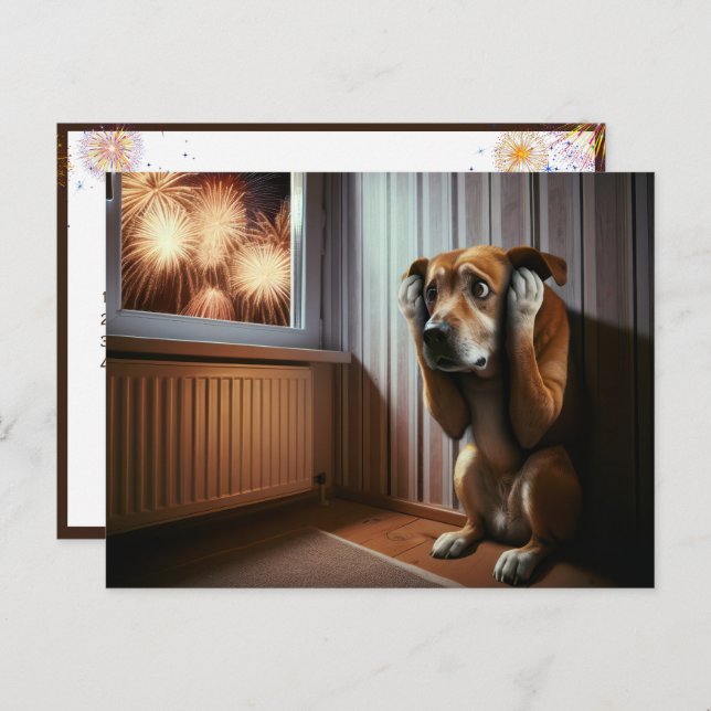 Scared Dog Watching Fireworks Postkarte (Vorne/Hinten)