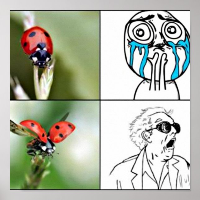 'Scared' Poster (Vorne)