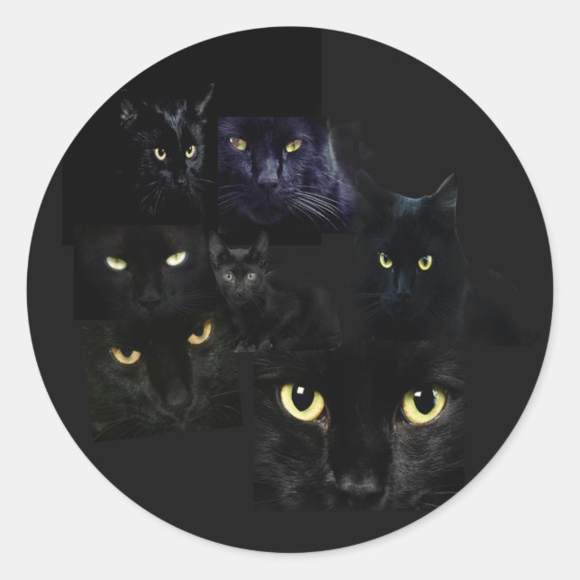 Scaredy Cats Sticker (Vorderseite)