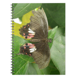 Scarlet Frack Butterfly Notebook Notizblock