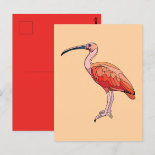 Scarlet Ibis Bird Postkarte