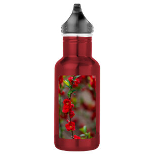Scarlet Line Stahlwasserflasche Edelstahlflasche