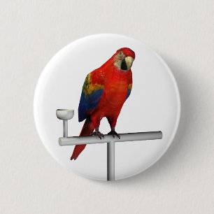 Scarlet Macaw Button