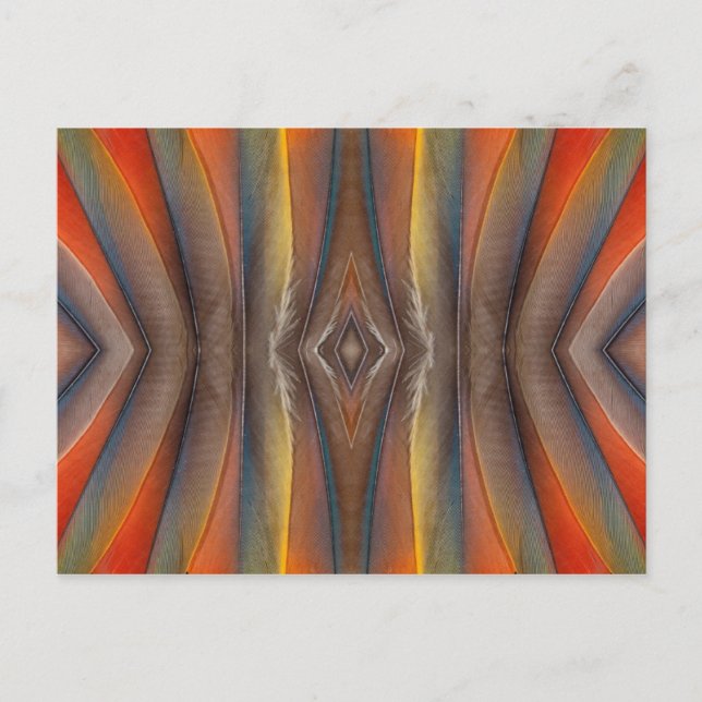 Scarlet Macaw feather design Postkarte (Vorderseite)