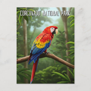 Scarlet Macaw im Corcovado Nationalpark Reisen Postkarte