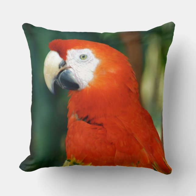 Scarlet Macaw Kissen (Vorderseite)