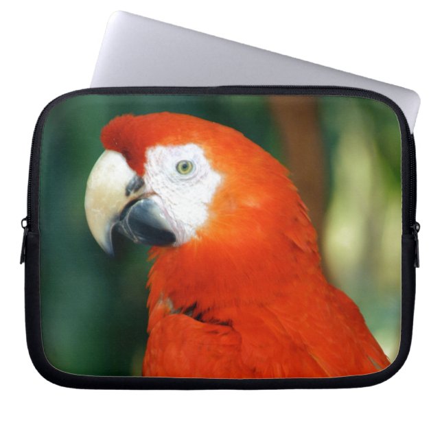Scarlet Macaw Laptopschutzhülle (Vorderseite)