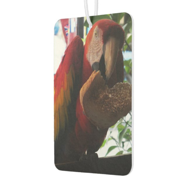 Scarlet Macaw Parrot Eating Toast Autolufterfrischer (Links)