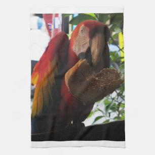 Scarlet Macaw Parrot Eating Toast Geschirrtuch