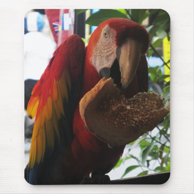 Scarlet Macaw Parrot Eating Toast Mousepad (Vorne)