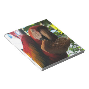 Scarlet Macaw Parrot Eating Toast Notizblock