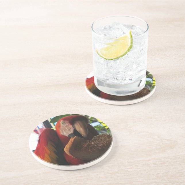 Scarlet Macaw Parrot Eating Toast Sandstein Untersetzer (Seite)