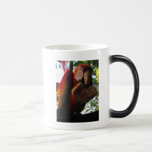 Scarlet Macaw Parrot Eating Toast Verwandlungstasse