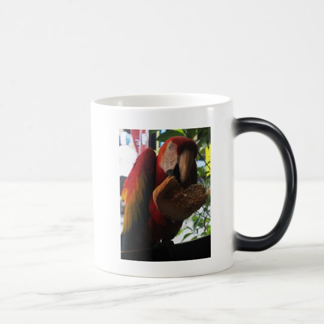 Scarlet Macaw Parrot Eating Toast Verwandlungstasse (Rechts)