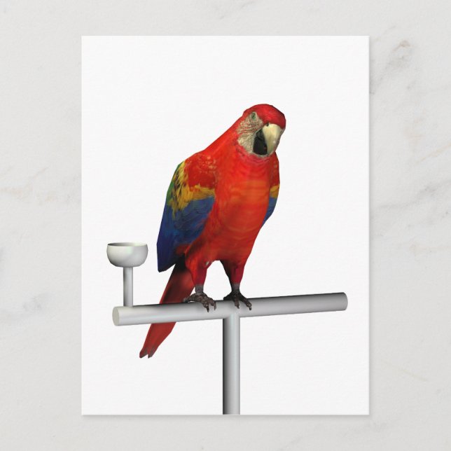 Scarlet Macaw Postkarte (Vorderseite)