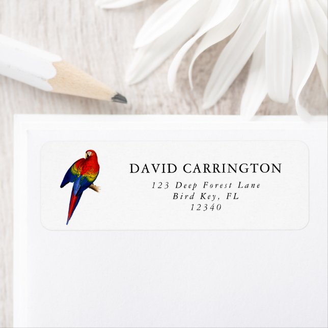 Scarlet Macaw tropischen farbenfrohen Regenwald Bi (Insitu)