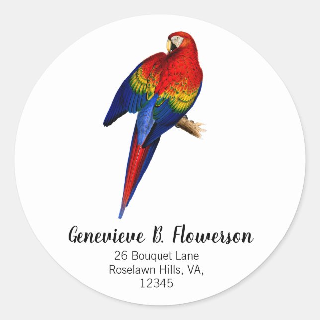 Scarlet Macaw tropischen farbenfrohen Regenwald Bi Runder Aufkleber (Vorderseite)