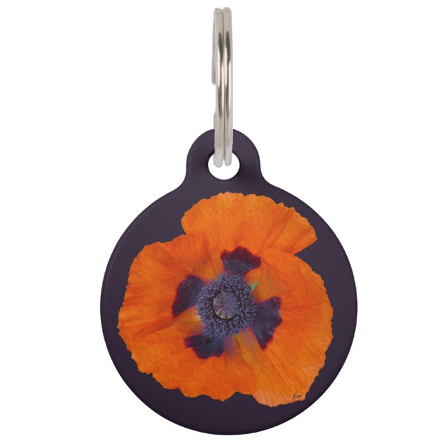 Scarlet Orange Mohn 1 Haustiermarke (Vorderseite)