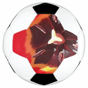 Scarlet Red Tulip Fußball