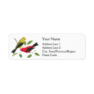 Scarlet Tanager Birds Rückgabeadresse