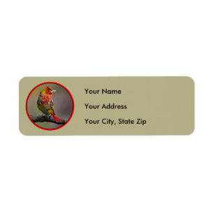 Scarlet Tanager Molting - Original Foto