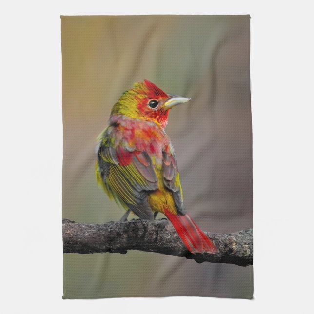 Scarlet Tanager Molting - Original Foto Geschirrtuch (Vertikal)