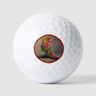 Scarlet Tanager Molting - Original Foto Golfball