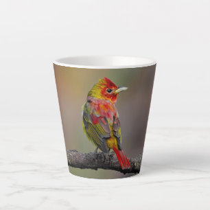 Scarlet Tanager Molting - Original Foto Milchtasse