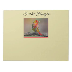 Scarlet Tanager Molting - Original Foto Notizblock