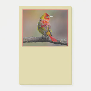 Scarlet Tanager Molting - Original Foto Post-it Klebezettel