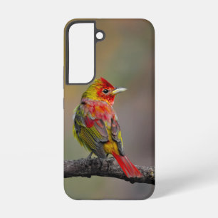 Scarlet Tanager Molting - Original Foto Samsung Galaxy Hülle