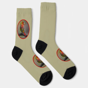 Scarlet Tanager Molting - Original Foto Socken
