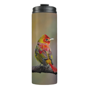 Scarlet Tanager Molting - Original Foto Thermosbecher