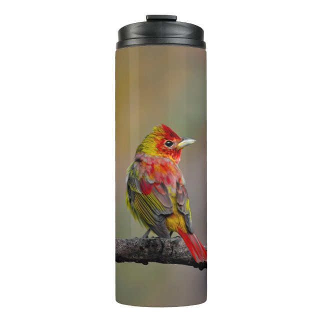 Scarlet Tanager Molting - Original Foto Thermosbecher (Vorderseite)