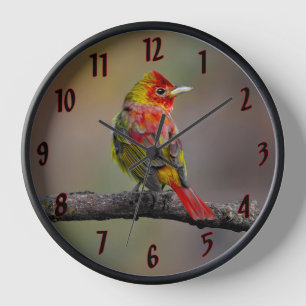 Scarlet Tanager Molting - Original Foto Uhr
