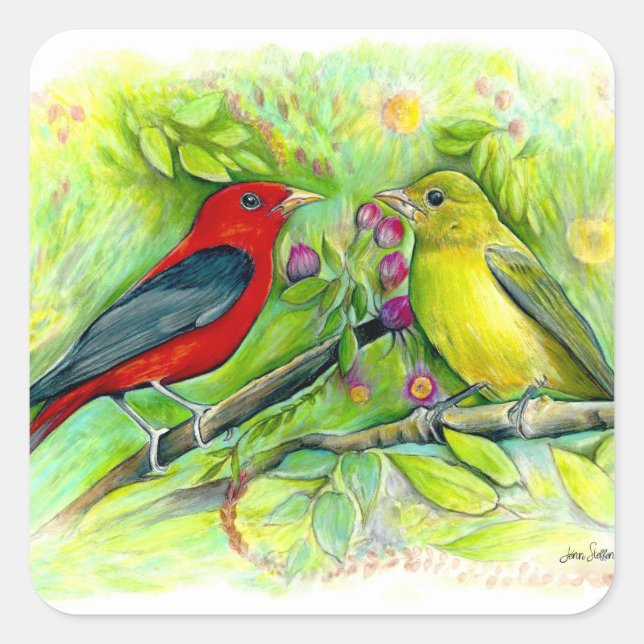 Scarlet Tanagers Bird Art Quadratischer Aufkleber (Vorderseite)