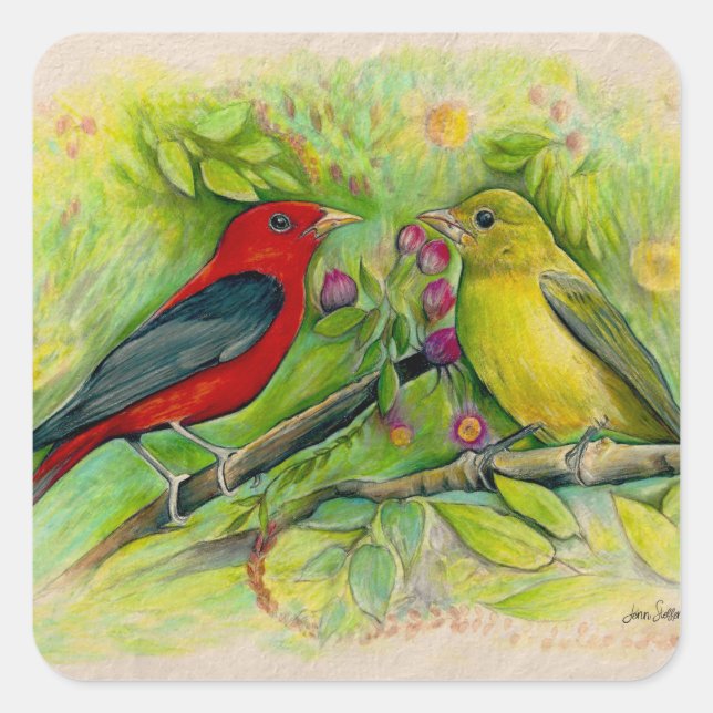 Scarlet Tanagers Bird Art Quadratischer Aufkleber (Vorderseite)
