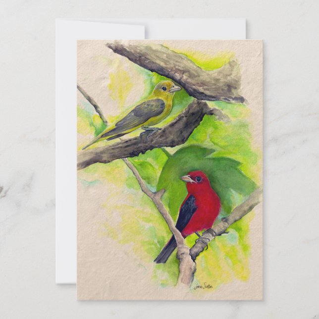 Scarlet Tanagers Oiseaux Aquarelle Merci (Devant)