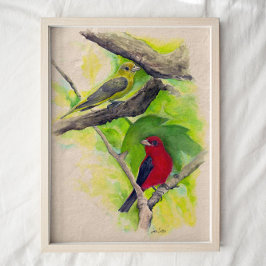 Scarlet Tanagers Vögel Aquarell Kunst drucken Poster