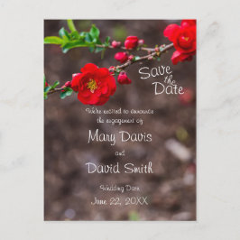 Scarlet Top Wedding Postkarte