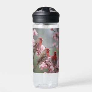 "Scarlet Trio: Rote Finken unter rosa Blüten" Trinkflasche
